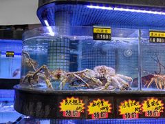 -德兴show鲜·蒸汽海鲜火锅餐厅(格创悦里店)