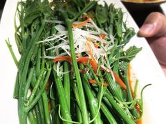 白灼丝瓜尖-懒人盐府人家(航天桥店)