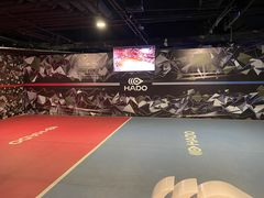 -VS SPORTS PARK运动玩乐园·团建·生日会(合生汇店)