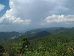 -武陵山森林公园