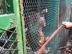 -藏龙百瀑风景区