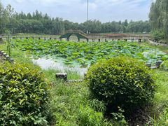 -渌洋湖湿地公园