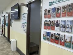 -美联众合动物医院·24h转诊中心