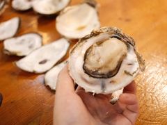 -土蚝·高压锅生蚝(百姓美食街店)