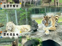 -上海野生动物园