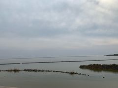 -合肥滨湖国家森林公园