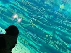 -龙谷湾旅游休闲度假区