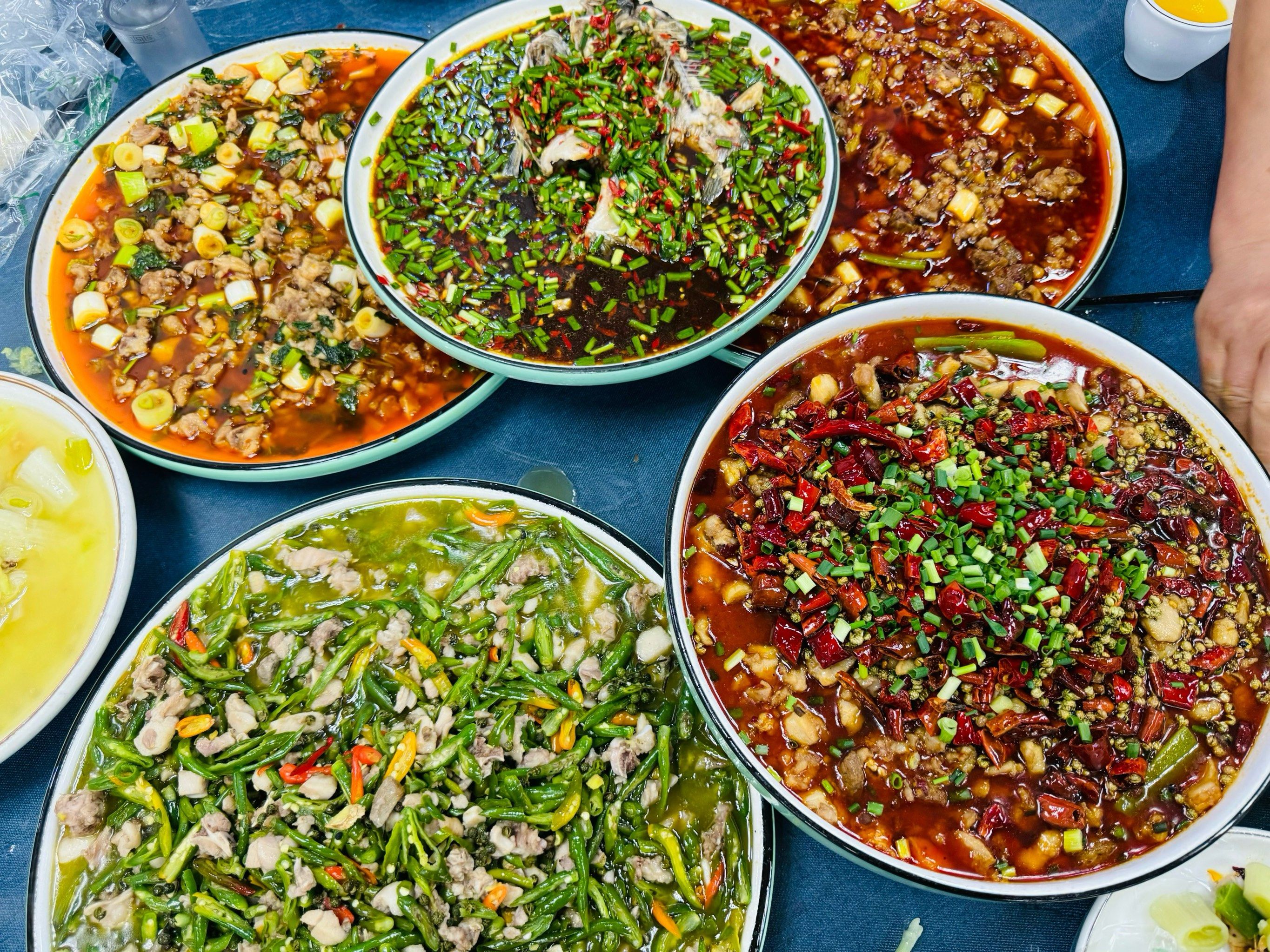 德阳|好吃的兔兔🐰