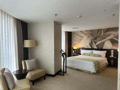 -国家会议中心大酒店