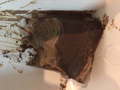 -Awfully Chocolate(嘉里城店)