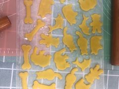 -缤纷鸟美术书法(交大校区)