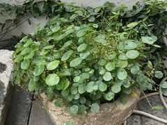 -渔闻农家菜