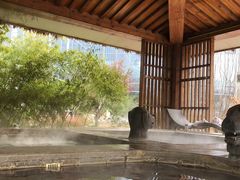 -中家鑫园温泉酒店鑫悦汤泉