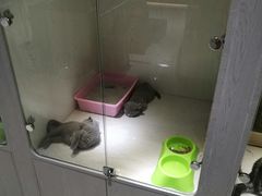 -乐宠宠物店(世纪金源店)