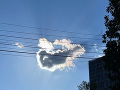 -八大山人梅湖景区