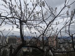 -福道