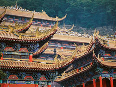 -东莞市大岭山森林公园