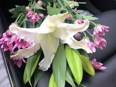 -攀枝花·任德琼·盐边羊肉米线