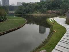 -百林公园-两江幸福广场