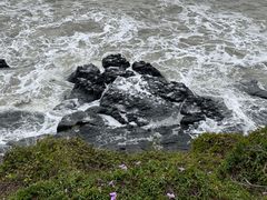 -漳州滨海火山岛自然生态风景区