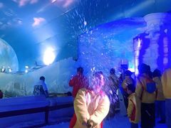 -世界之窗阿尔卑斯冰雪世界