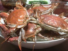 -红灯笼龙凤饭店(宁波老字号店)