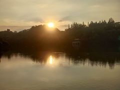 -深圳仙湖植物园