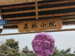 -北京西山国家森林公园