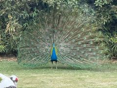 -西郊宾馆·1921餐厅