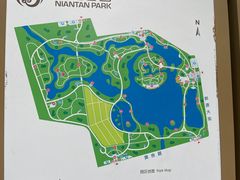 -大兴滨河森林公园