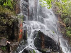-燕郊植物园