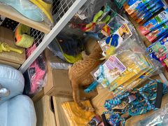 -美联众合动物医院(唯恩分院)