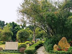 -晓港公园