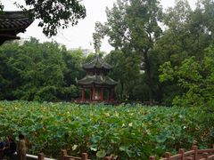 -房湖公园