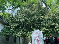 -青岛崂山太清宫