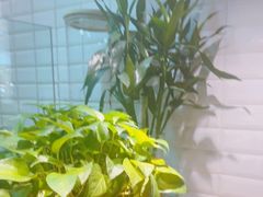 -小菜园新徽菜(常州武进吾悦店)