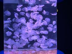 -欢乐海岸海洋奇梦馆