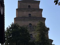 -大慈恩寺(大雁塔)