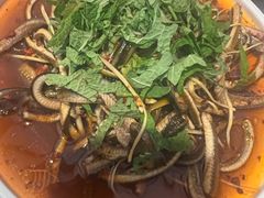 -飞虹鱼馆(春华路店)