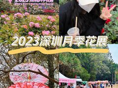 -人民公园(罗湖区)