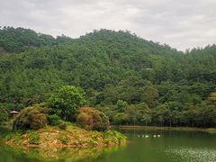 -广州白江湖森林公园