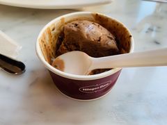 -哈根达斯(武汉天地店)