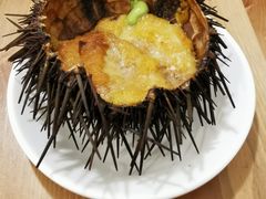 -海胆小馆(东北水饺·春柳店)