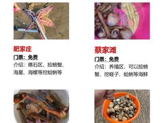 -巧克力渔家.小船海鲜胶东菜(万平口店)