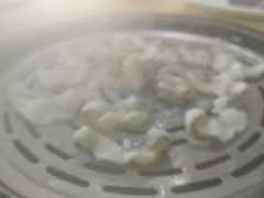 气锅鲟龙鱼-渔文乐农庄