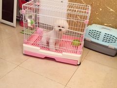 -诺比宠物医院心脏内科·泌尿肾内外科·骨科急重症