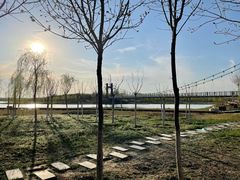 -西青郊野公园