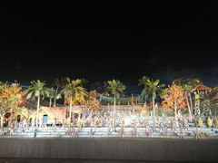 -三亚红色娘子军演艺公园景区