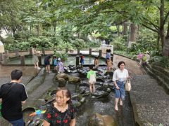 -成都市活水公园