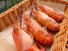 -徐岛主·特色农家乐(阳澄湖莲花岛店)